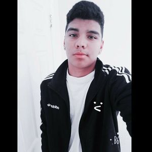 Meet your Posher, Ernesto